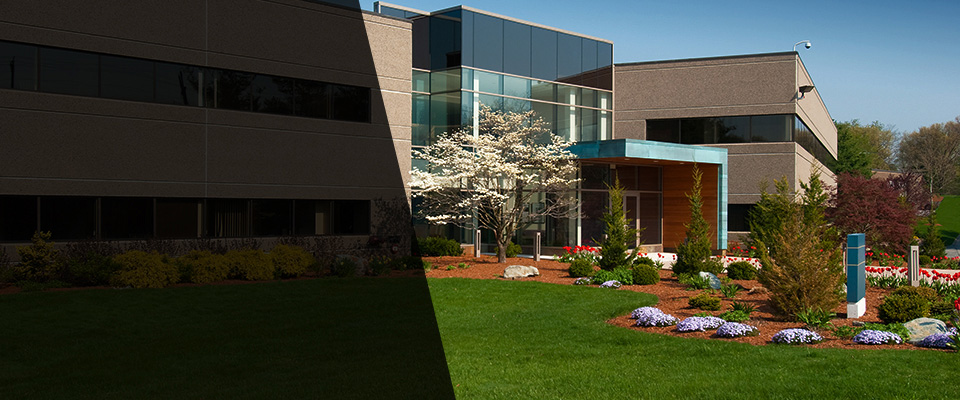 Buffalo Grove Landscapers