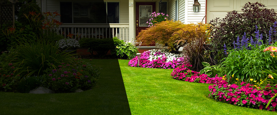 Buffalo Grove Landscapers
