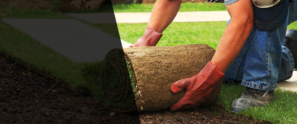 Buffalo Grove Landscapers